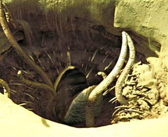 Illustration for article titled Earth Angry, Sends Sarlaccs to Eat Humanity in Giant Texas Sinkhole